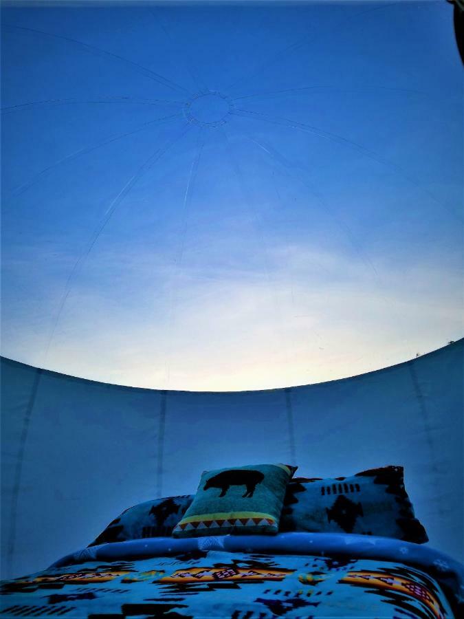 Cave, Yurt, Bubble And Other Glamping Adventures Sedona Exterior foto