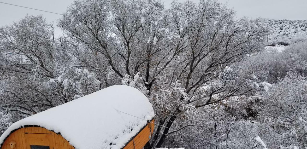 Cave, Yurt, Bubble And Other Glamping Adventures Sedona Exterior foto