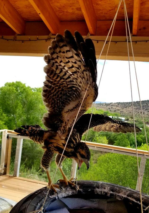 Cave, Yurt, Bubble And Other Glamping Adventures Sedona Exterior foto